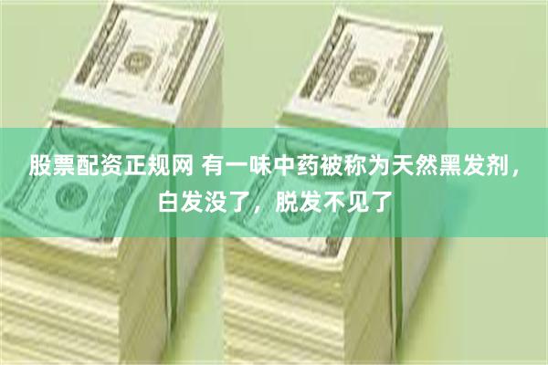 股票配资正规网 有一味中药被称为天然黑发剂，白发没了，脱发不见了