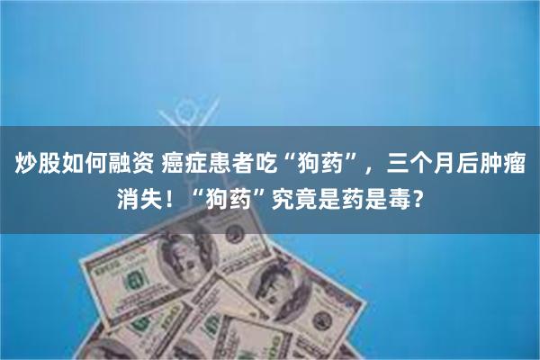 炒股如何融资 癌症患者吃“狗药”，三个月后肿瘤消失！“狗药”究竟是药是毒？