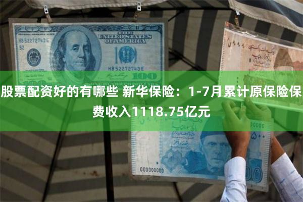 股票配资好的有哪些 新华保险：1-7月累计原保险保费收入1118.75亿元