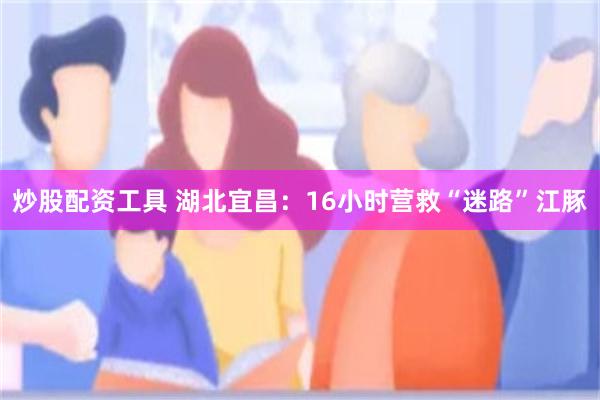 炒股配资工具 湖北宜昌：16小时营救“迷路”江豚
