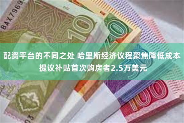 配资平台的不同之处 哈里斯经济议程聚焦降低成本 提议补贴首次购房者2.5万美元