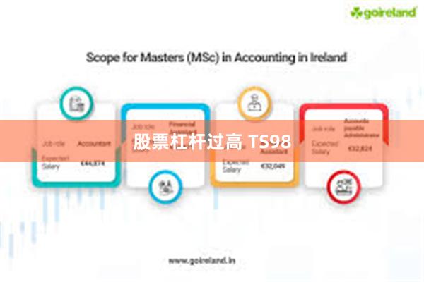 股票杠杆过高 TS98