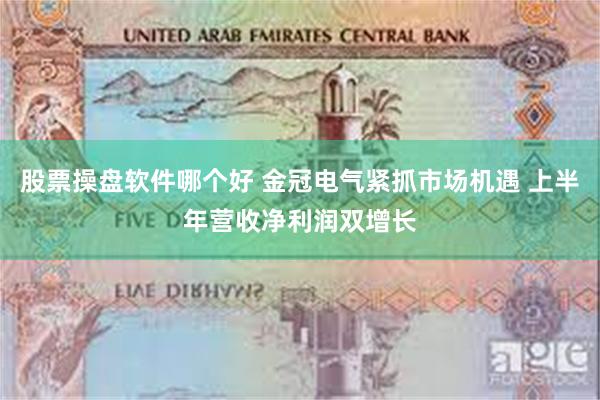 股票操盘软件哪个好 金冠电气紧抓市场机遇 上半年营收净利润双增长