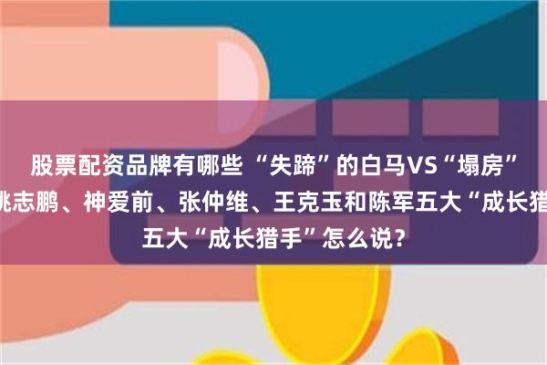 股票配资品牌有哪些 “失蹄”的白马VS“塌房”的赛道！看姚志鹏、神爱前、张仲维、王克玉和陈军五大“成长猎手”怎么说？