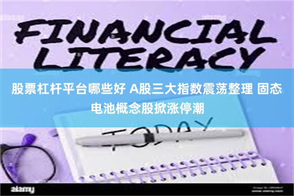 股票杠杆平台哪些好 A股三大指数震荡整理 固态电池概念股掀涨停潮
