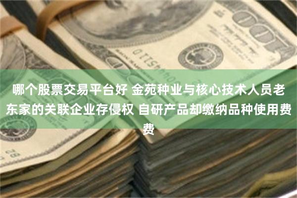 哪个股票交易平台好 金苑种业与核心技术人员老东家的关联企业存侵权 自研产品却缴纳品种使用费
