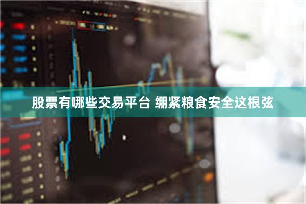 股票有哪些交易平台 绷紧粮食安全这根弦