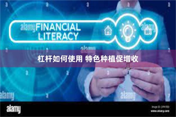 杠杆如何使用 特色种植促增收