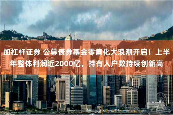 加杠杆证券 公募债券基金零售化大浪潮开启！上半年整体利润近2000亿，持有人户数持续创新高
