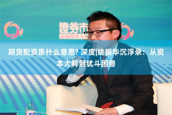 期货配资是什么意思? 深度|姚振华沉浮录：从资本大鳄到犹斗困兽