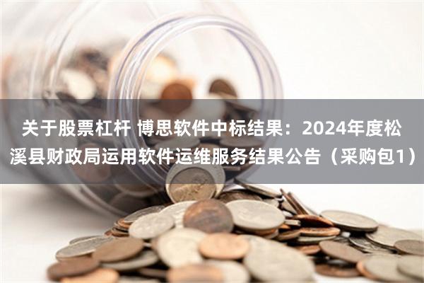 关于股票杠杆 博思软件中标结果：2024年度松溪县财政局运用软件运维服务结果公告（采购包1）