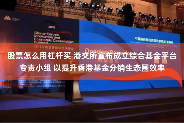 股票怎么用杠杆买 港交所宣布成立综合基金平台专责小组 以提升香港基金分销生态圈效率