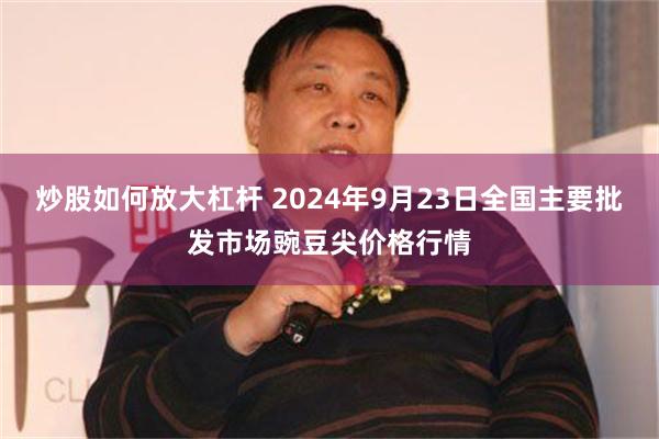 炒股如何放大杠杆 2024年9月23日全国主要批发市场豌豆尖价格行情
