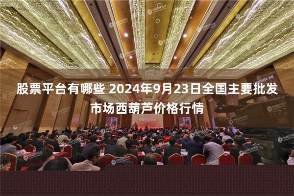 股票平台有哪些 2024年9月23日全国主要批发市场西葫芦价格行情