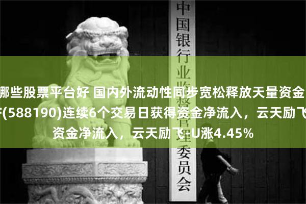 哪些股票平台好 国内外流动性同步宽松释放天量资金！科创100ETF(588190)连续6个交易日获得资金净流入，云天励飞-U涨4.45%