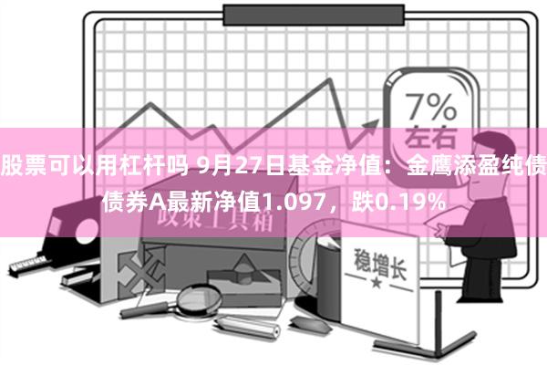 股票可以用杠杆吗 9月27日基金净值：金鹰添盈纯债债券A最新净值1.097，跌0.19%