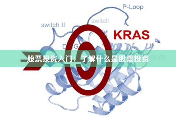 股票投资入门：了解什么是股票投资