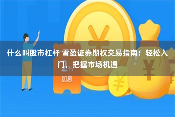 什么叫股市杠杆 雪盈证券期权交易指南：轻松入门，把握市场机遇