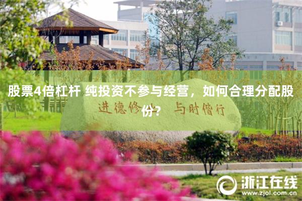股票4倍杠杆 纯投资不参与经营，如何合理分配股份？