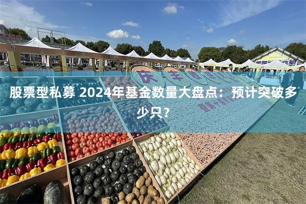 股票型私募 2024年基金数量大盘点：预计突破多少只？