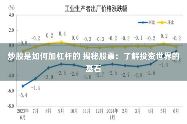 炒股是如何加杠杆的 揭秘股票：了解投资世界的基石