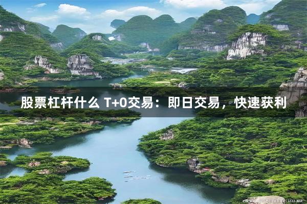 股票杠杆什么 T+0交易：即日交易，快速获利