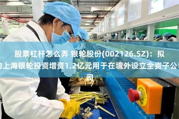 股票杠杆怎么弄 银轮股份(002126.SZ)：拟向上海银轮投资增资1.2亿元用于在境外设立全资子公司