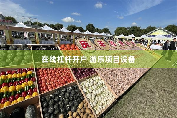 在线杠杆开户 游乐项目设备