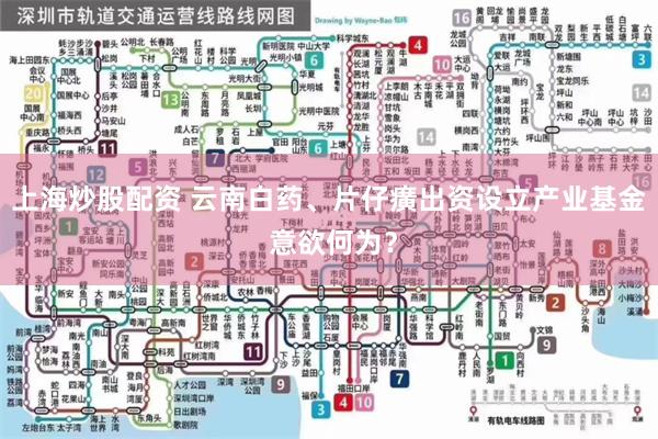 上海炒股配资 云南白药、片仔癀出资设立产业基金 意欲何为？