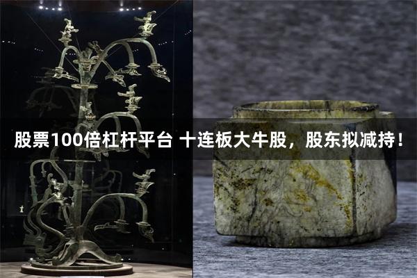 股票100倍杠杆平台 十连板大牛股，股东拟减持！