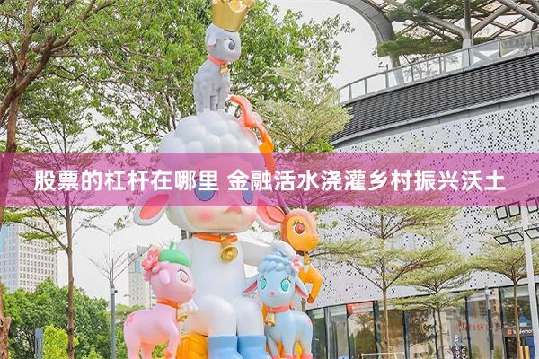 股票的杠杆在哪里 金融活水浇灌乡村振兴沃土