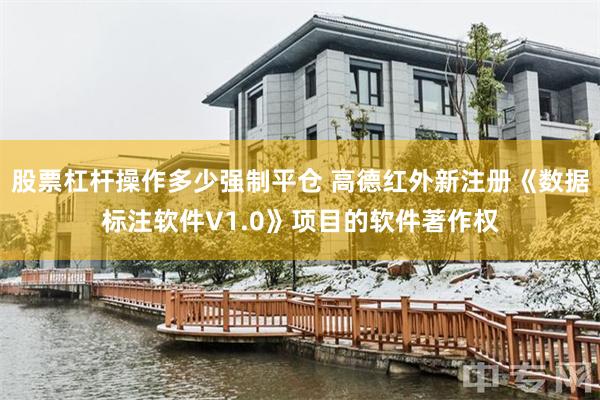 股票杠杆操作多少强制平仓 高德红外新注册《数据标注软件V1.0》项目的软件著作权