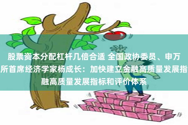 股票资本分配杠杆几倍合适 全国政协委员、申万宏源证券研究所首席经济学家杨成长：加快建立金融高质量发展指标和评价体系