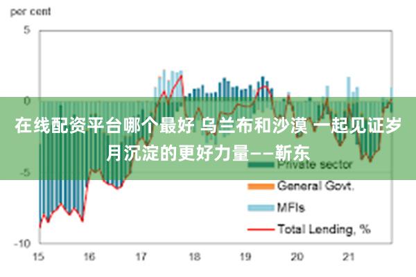 在线配资平台哪个最好 乌兰布和沙漠 一起见证岁月沉淀的更好力量——靳东