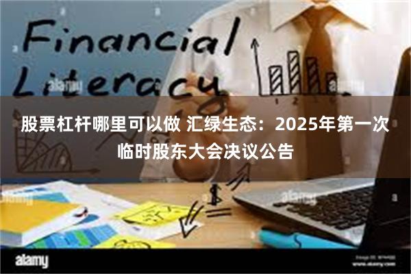 股票杠杆哪里可以做 汇绿生态：2025年第一次临时股东大会决议公告