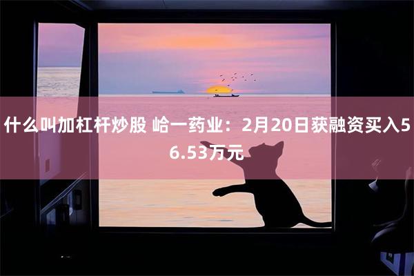 什么叫加杠杆炒股 峆一药业：2月20日获融资买入56.53万元