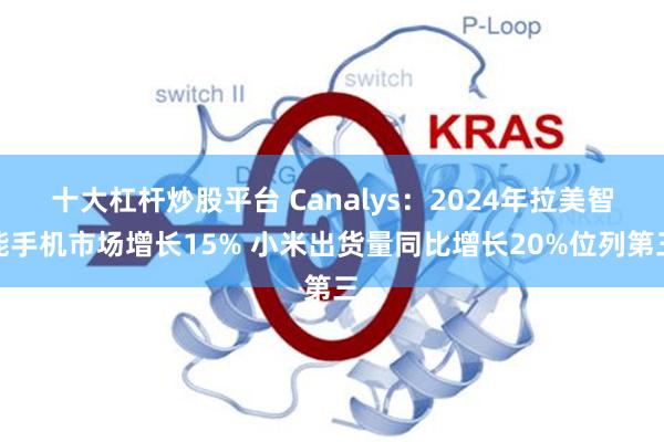 十大杠杆炒股平台 Canalys：2024年拉美智能手机市场增长15% 小米出货量同比增长20%位列第三
