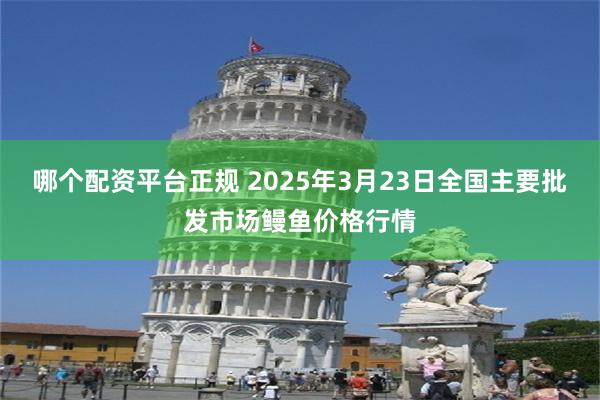哪个配资平台正规 2025年3月23日全国主要批发市场鳗鱼价格行情