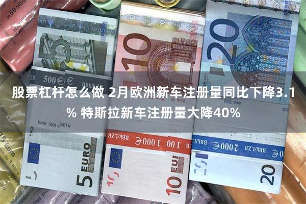 股票杠杆怎么做 2月欧洲新车注册量同比下降3.1% 特斯拉新车注册量大降40%