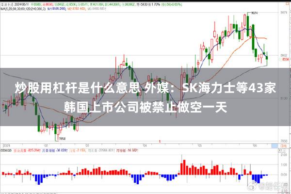 炒股用杠杆是什么意思 外媒：SK海力士等43家韩国上市公司被禁止做空一天
