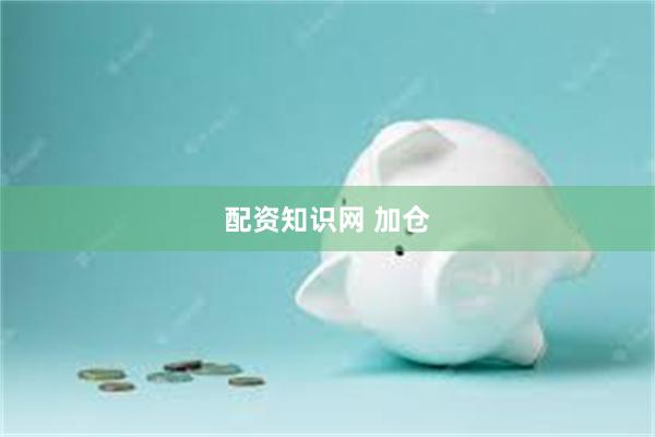 配资知识网 加仓