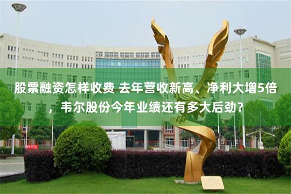 股票融资怎样收费 去年营收新高、净利大增5倍，韦尔股份今年业绩还有多大后劲？