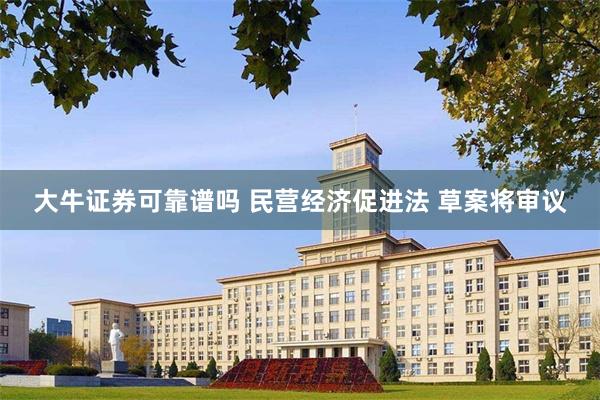 大牛证券可靠谱吗 民营经济促进法 草案将审议