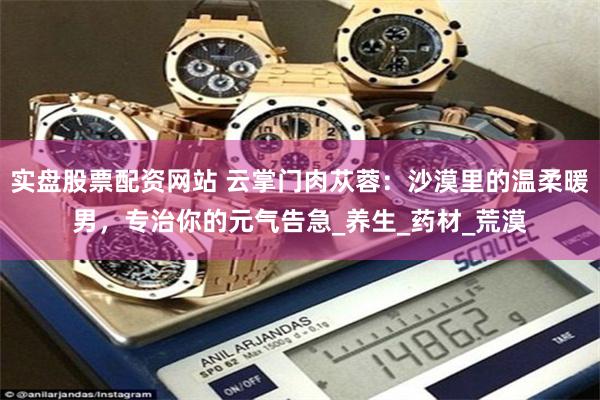 实盘股票配资网站 云掌门肉苁蓉：沙漠里的温柔暖男，专治你的元气告急_养生_药材_荒漠