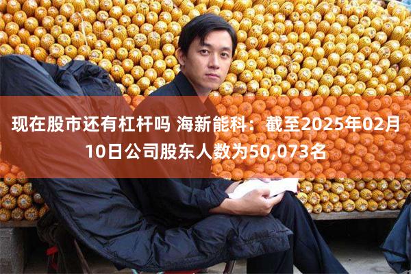 现在股市还有杠杆吗 海新能科：截至2025年02月10日公司股东人数为50,073名