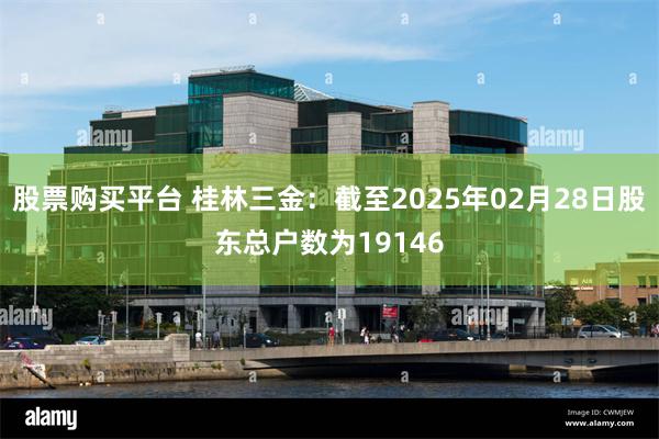 股票购买平台 桂林三金：截至2025年02月28日股东总户数为19146