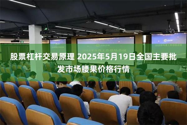 股票杠杆交易原理 2025年5月19日全国主要批发市场腰果价格行情