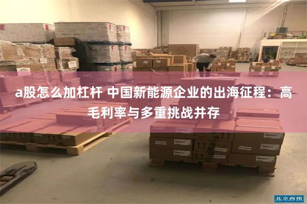 a股怎么加杠杆 中国新能源企业的出海征程：高毛利率与多重挑战并存