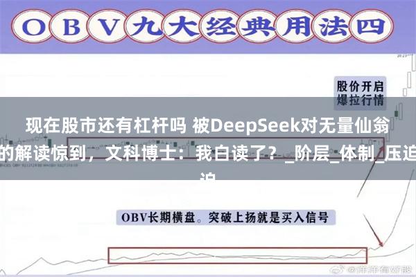现在股市还有杠杆吗 被DeepSeek对无量仙翁的解读惊到，文科博士：我白读了？_阶层_体制_压迫